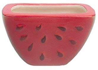 Watermelon Ceramic Planter (Multicolour)
